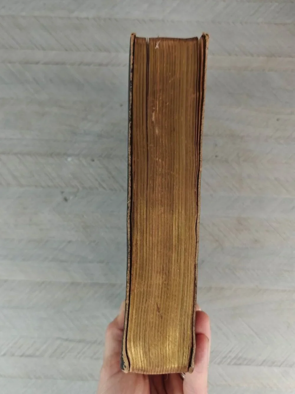 The System Bible Study Revised & Enlarged 1938 Hardcover Religious Reference